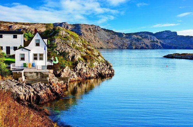 Conception Bay Tour Experience - Price and Value: Where the $157.36 Goes