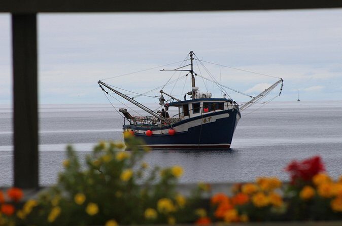 Conception Bay Tour Experience - Guides You Might Meet: The Human Factor