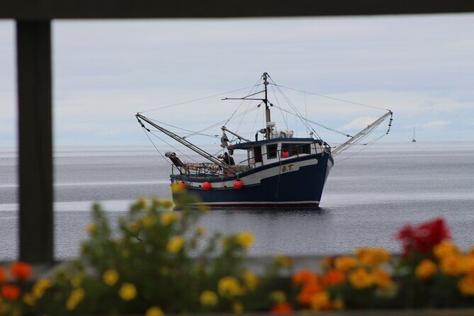 Conception Bay Tour Experience - Brigus: A Harbor Town Stop With More Time to Wander