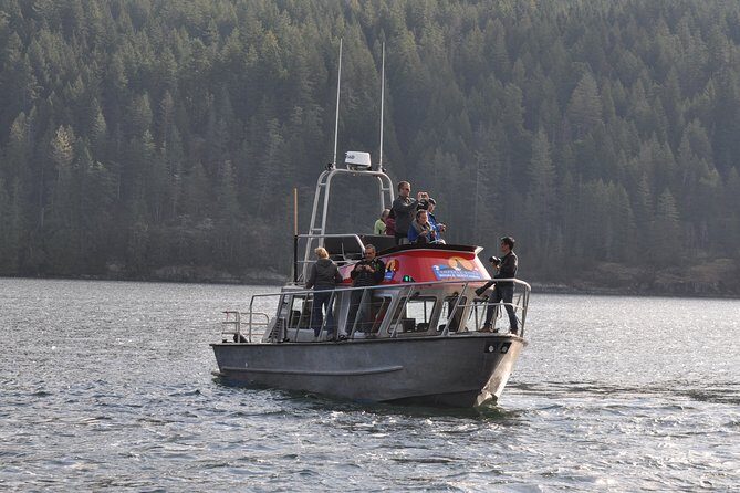 Covered Boat Whale Watching 4-Hour Tour from Campbell River - A covered Campbell River whale watching boat that keeps plans on track