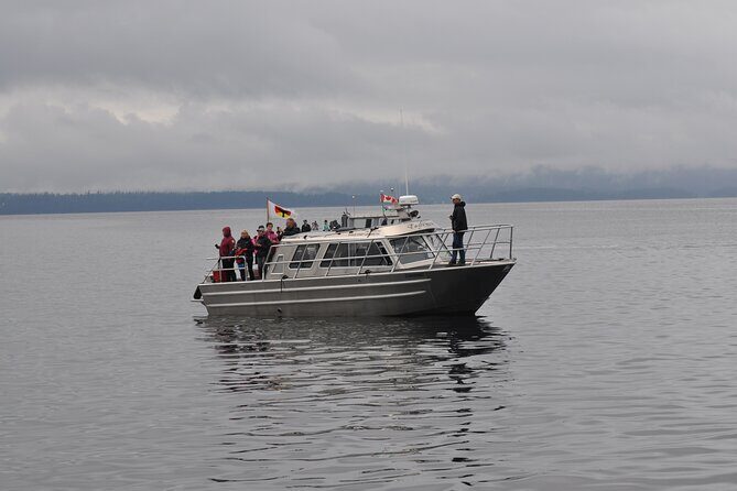 Covered Boat Whale Watching 4-Hour Tour from Campbell River - Who this tour suits best