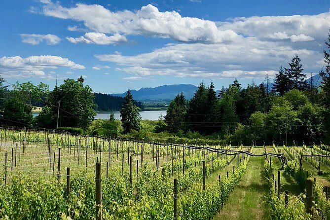 Cowichan Valley Premium Wine Tour - Key things to know before you go