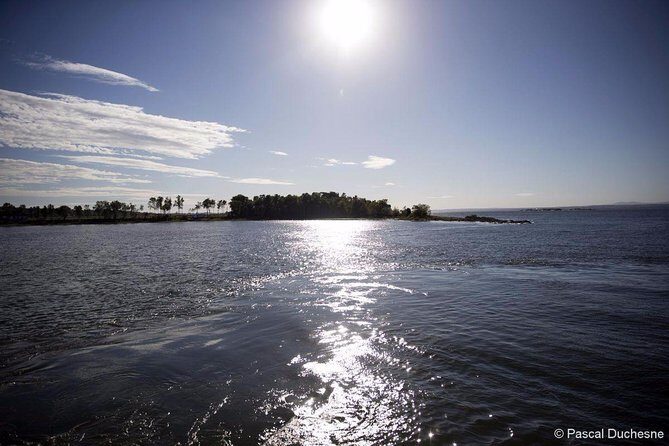 Cruise and Visit of Grosse-Ile - Planning Your Day: The 6-Hour Rhythm and Where Your Time Goes