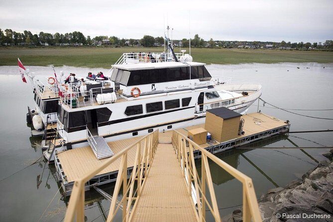 Cruise and Visit of Grosse-Ile - Logistics That Matter: Tickets, Timing, and the Start Point