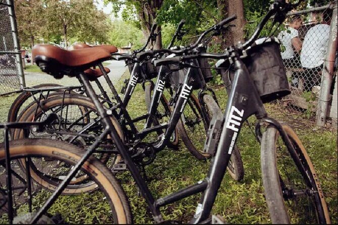 Daily Montreal Bike Rental- Be your own guide in Montreal - Key highlights to know before you go