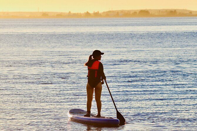 Daily SUP Paddleboard Rentals Package in Metro Vancouver - The 24-hour window: how to plan your paddle like you have local freedom