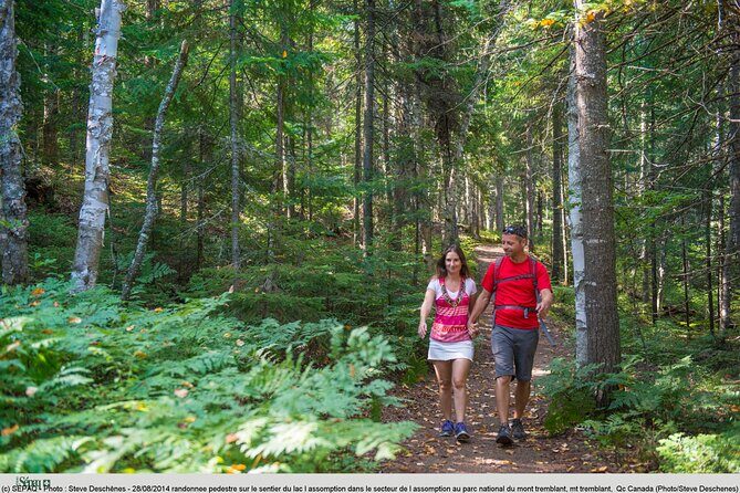 Day at Mont-Tremblant National Park - Leaving Montreal at 8:00 am for La Pimbina