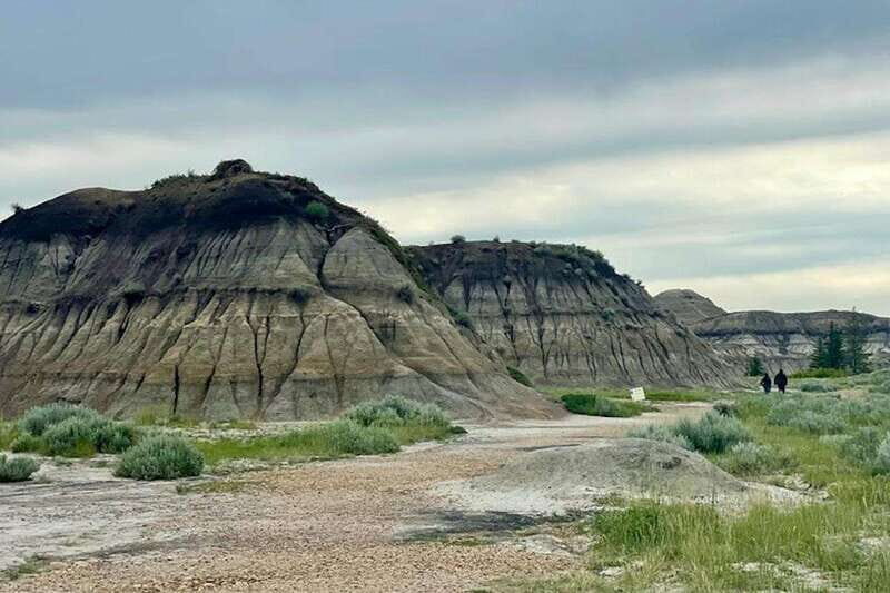 Day of Dinosaurs and Hoodoos From Calgary to the Badlands - Should you book this Day of Dinosaurs and Hoodoos tour?