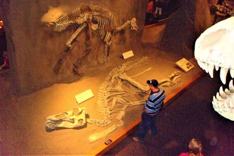 Day of Dinosaurs and Hoodoos From Calgary to the Badlands - Royal Tyrrell Museum: the fossil stop that anchors the whole day