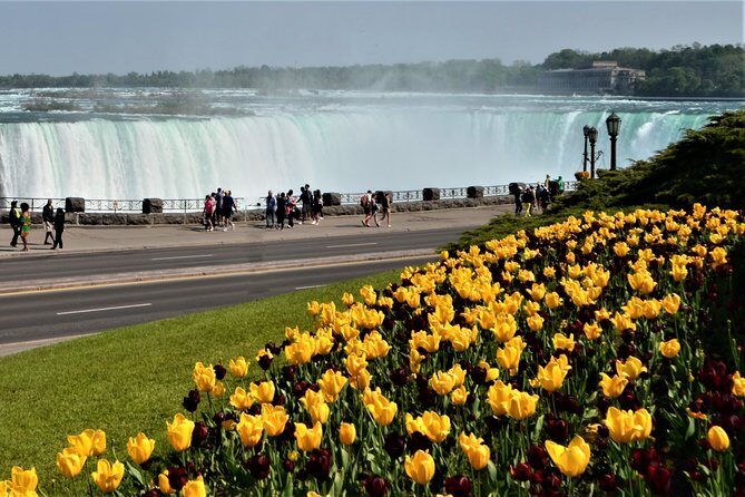 Day-Trip from Toronto to Niagara Falls with skip-the-line boat - How the Toronto to Niagara Falls day really flows