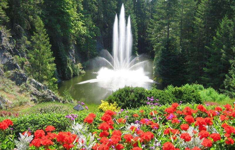 Day Trip from Vancouver to Victoria and Butchart Gardens - Key highlights you’ll actually feel during the day