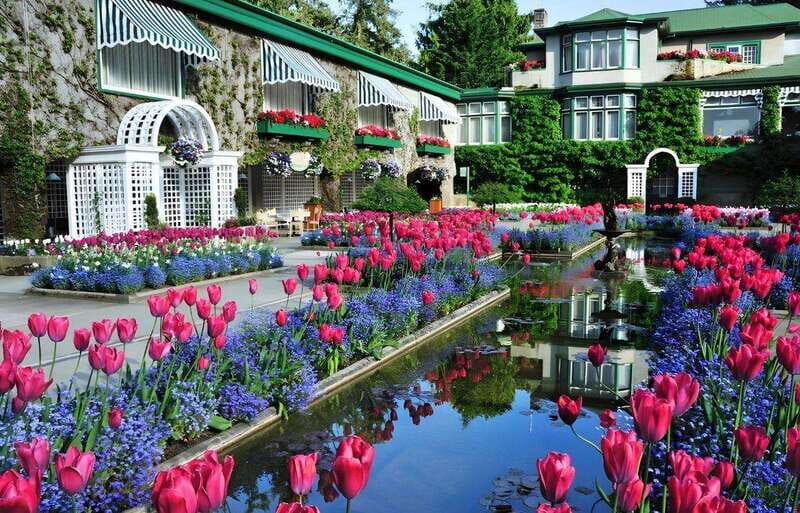 Day Trip from Vancouver to Victoria and Butchart Gardens - Should you book this tour?