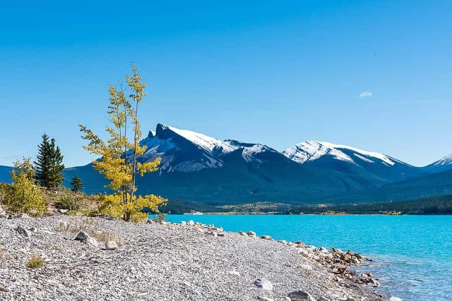 Day Trip to Jasper + Banff with picnic and drinks - Athabasca Glacier: The Viewpoint Walk That Makes the Ice Feel Real