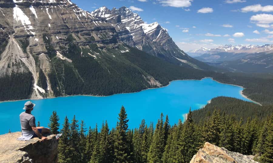 Day Trip to Jasper + Banff with picnic and drinks - Peyto Lake Turquoise Views and the Return Highlights