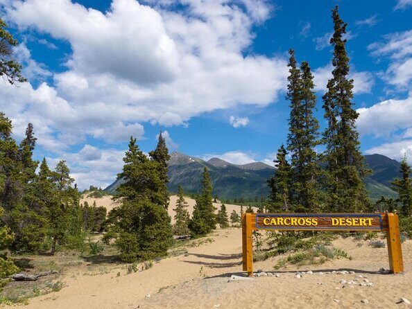 Day-Trip To Skagway - Gateway to the Klondike Goldrush - Key Highlights at a Glance