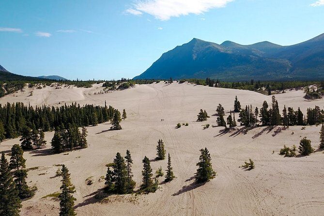 Day-Trip To Skagway - Gateway to the Klondike Goldrush - Whitehorse Pickup and the Pace of a 9–10 Hour Day