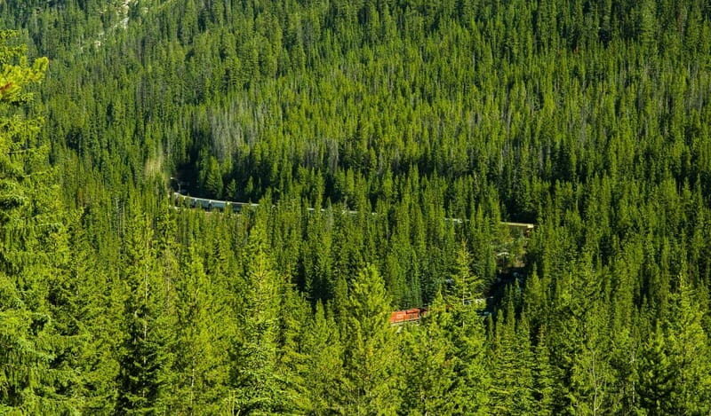 Deep Day Tour to Emerald, Moraine, Louise Lake, J. Canyon... - The Drive That Connects Big Icons: Castle Mountain and Rogers Pass