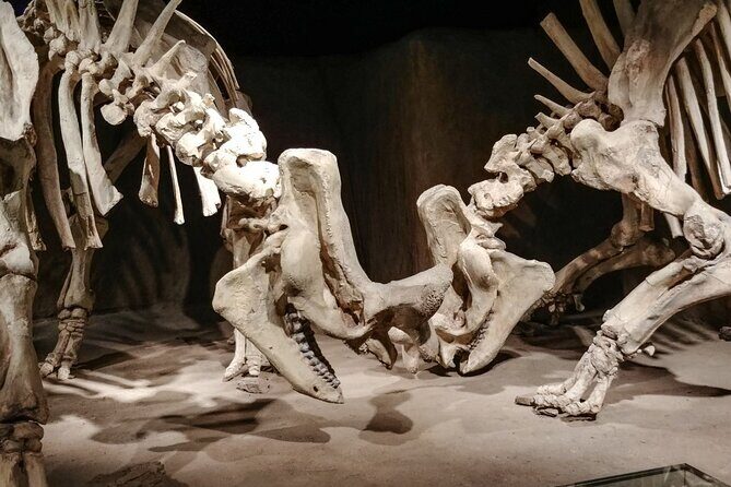 Dinosaurs, Canyons & Ghost Towns: Ultimate Drumheller Day Tour - A 7-Hour Drumheller Fix from Calgary
