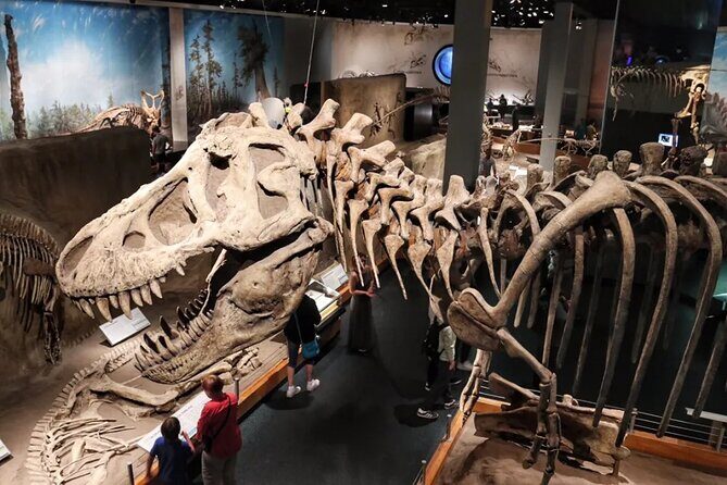 Dinosaurs, Canyons & Ghost Towns: Ultimate Drumheller Day Tour - Guides and Group Size: Why Small Feels Better Here