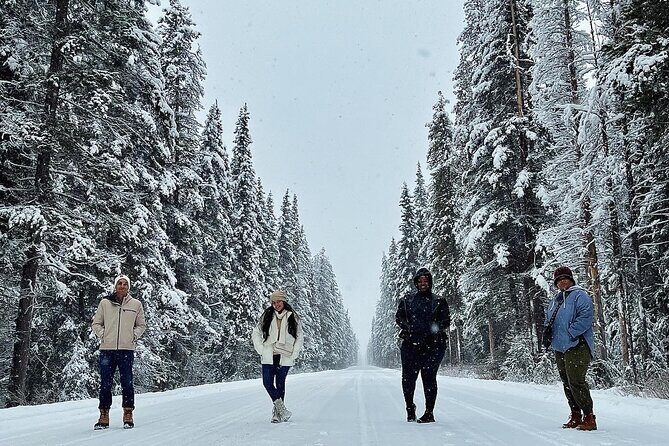 Discover Banff National Park Day Trip From Calgary - Banff Avenue: Town Break for Lunch, Shops, and Breathing Room