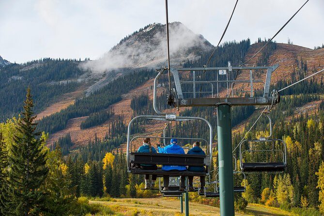 Discover Grizzly Bears from Banff - Why This Banff Grizzly Bear Day Trip Makes Sense