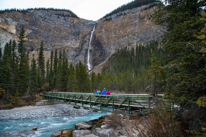 Discover Grizzly Bears from Banff - Boo at the Grizzly Bear Refuge: What Up-Close Wildlife Viewing Really Means