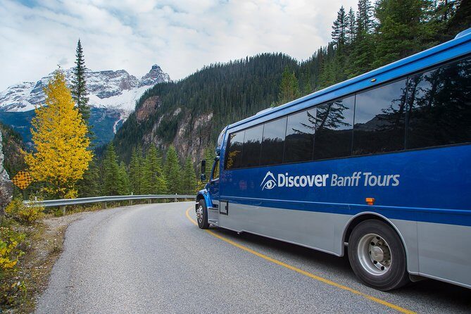 Discover Grizzly Bears from Banff - Emerald Lake: A Short, High-Impact Break with Jade-Colored Water