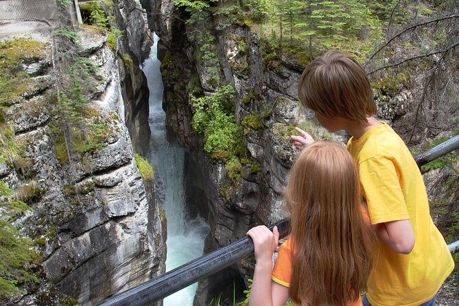 Discover Jasper and its Wildlife - Viewing Etiquette and Safety: Watching Wildlife Without Being That Person