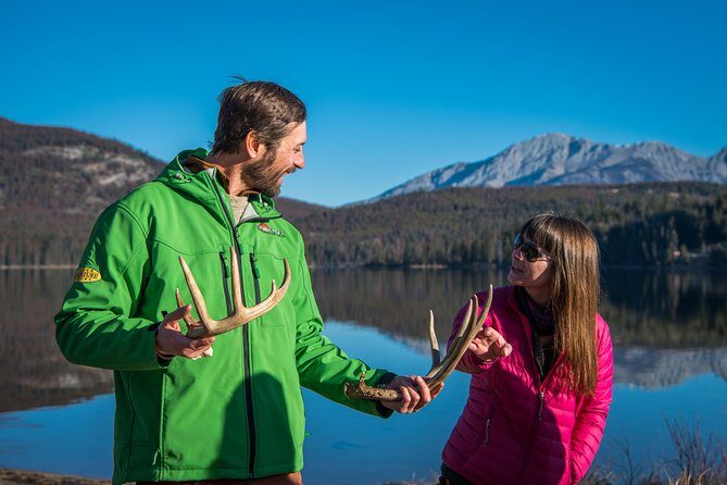 Discover Jasper and its Wildlife - What You’ll Chase: Wildlife You Can Expect (And Why It Varies)