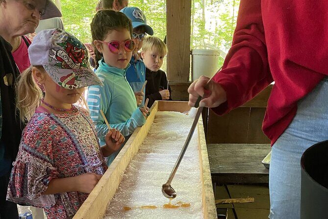 Discover Maple Sugar Bush Tour - Year-round maple syrup magic: why this tour isn’t just a winter stunt