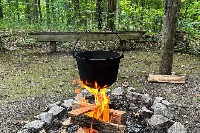 Discover Maple Sugar Bush Tour - Behind-the-scenes production lessons: sap, timing, and the wine comparison