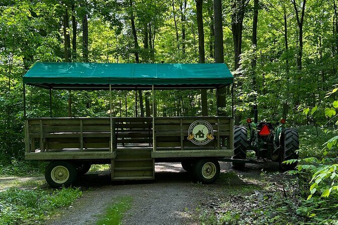 Discover Maple Sugar Bush Tour - Why syrup color and flavor change through the season