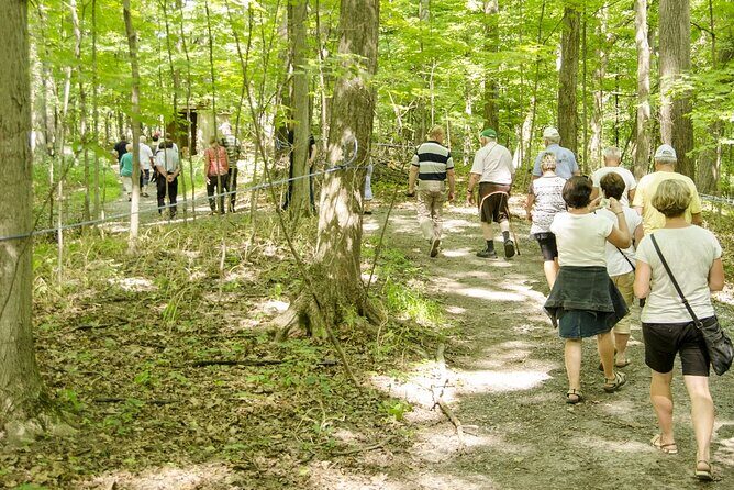 Discover Maple Sugar Bush Tour - Who will enjoy this tour most (and who might want a different plan)