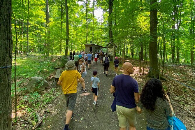 Discover Maple Sugar Bush Tour - Price and value: is $21.22 a fair deal for this maple experience?