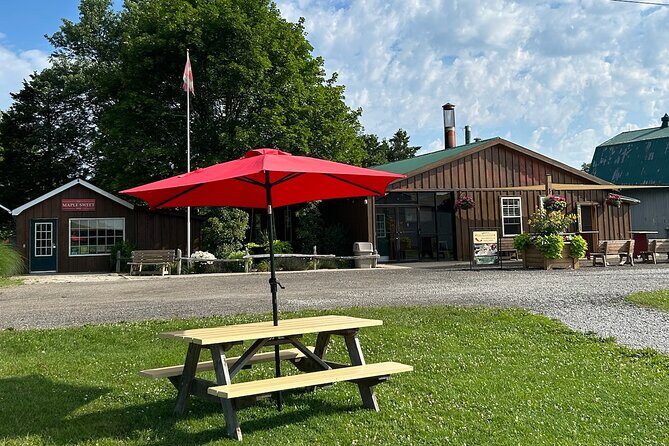 Discover Maple Sugar Bush Tour - Wagon ride into the forest: what you’ll see in the sugar bush