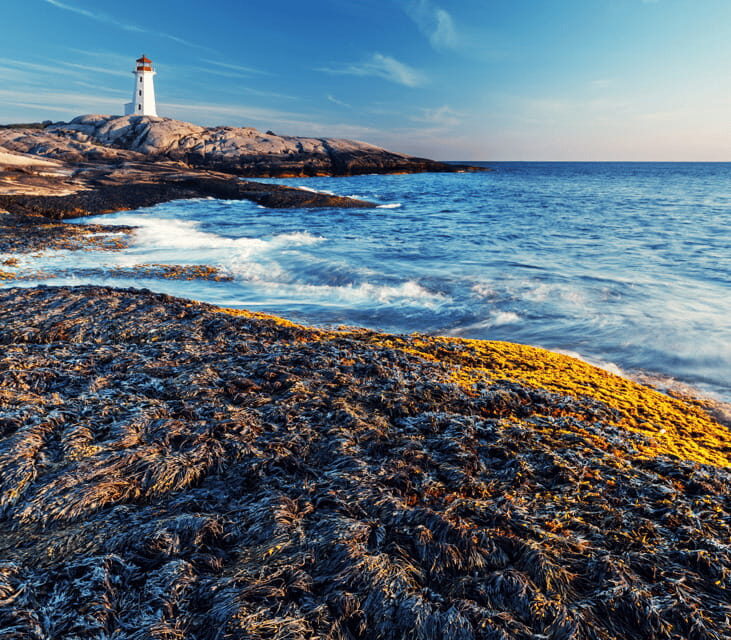 Discover Peggy's Cove: Private Journey from Halifax - The 45-minute Atlantic coast drive: stories on the way