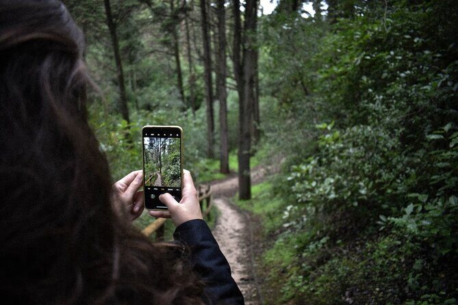 Discover the Lake Agnes Tea House Trail with an Audio Nature Tour - What makes this tour feel better than a standard guided group