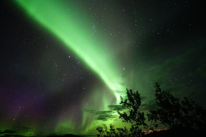 Discover Whitehorse with Northern Lights and Yukon Wildlife Tour - Half-day wildlife at the Yukon Wildlife Preserve: big mammals, natural surroundings