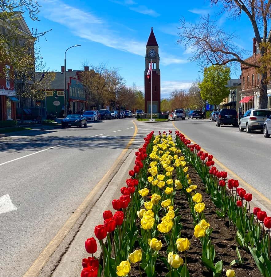 Discovery Tour: From Niagara Falls to Niagara-on-the-Lake - Key moments worth building your day around