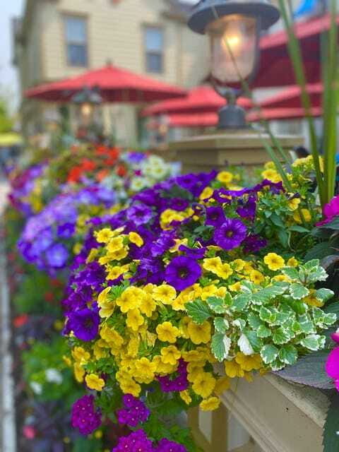 Discovery Tour: From Niagara Falls to Niagara-on-the-Lake - Who this private tour fits best