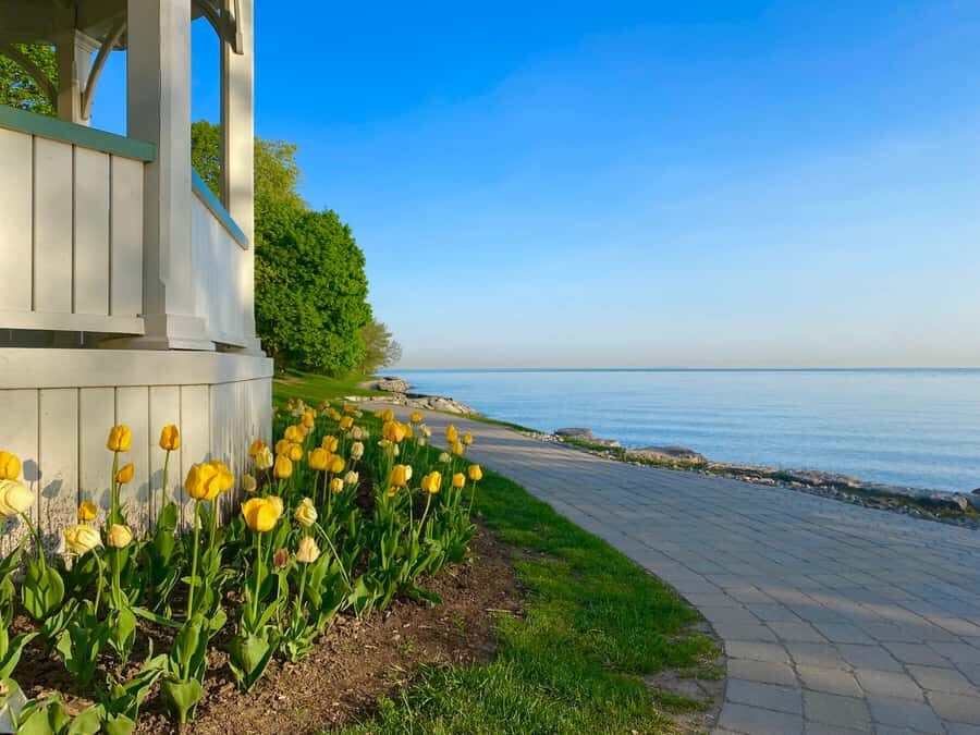 Discovery Tour: From Niagara Falls to Niagara-on-the-Lake - Maple Leaf Centre and the maple tasting you’ll actually remember