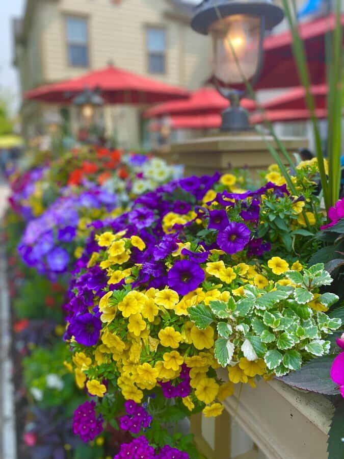 Discovery Tour: From Niagara Falls to Niagara-on-the-Lake - Whirlpool Aerocar crossing: gorge views with a seasonal note
