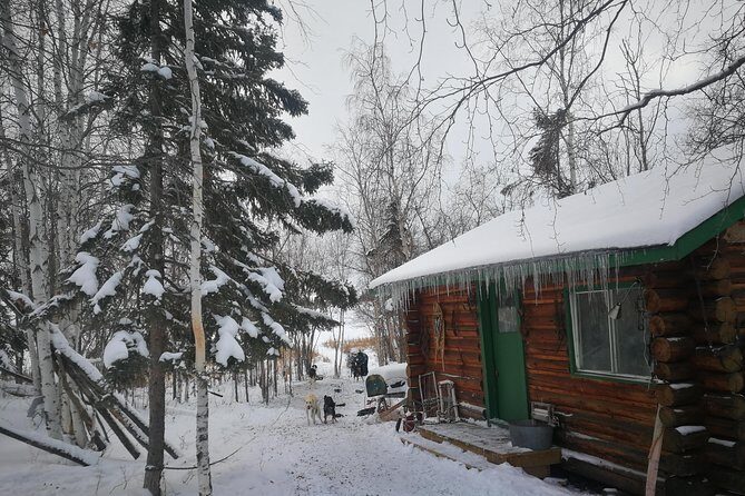 Dog Sledding - Meeting the Dog Mushing Family: Where the Real Experience Begins