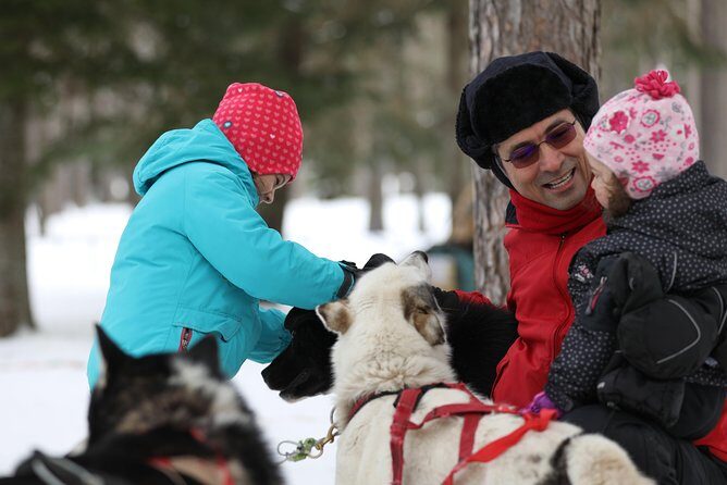 Dogsled Diable Adventure in Mont-Tremblant - Kennel Visit: Treat Time, Brushing, and Puppy Possibilities
