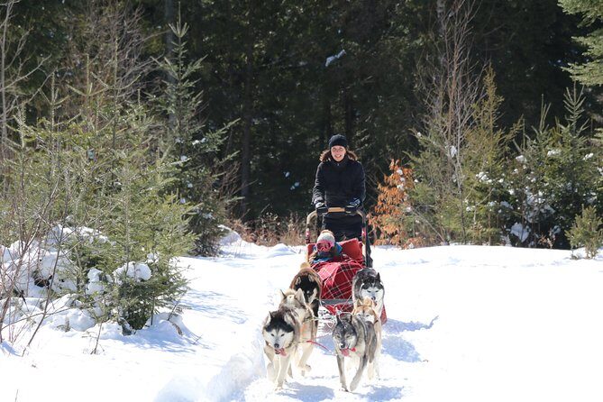 Dogsled Diable Adventure in Mont-Tremblant - What It Costs, and Whether It’s Good Value for Your Money