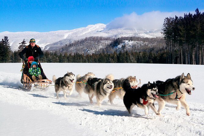 Dogsled Diable Adventure in Mont-Tremblant - Helmets, Sled Driving, and the Real-Life Rhythm of the Ride