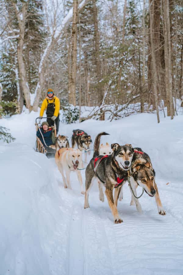 Dogsledding Upper Laurentians near Mont-Tremblant - What Makes Upper Laurentians Dogsledding Feel So Different by Mont-Tremblant
