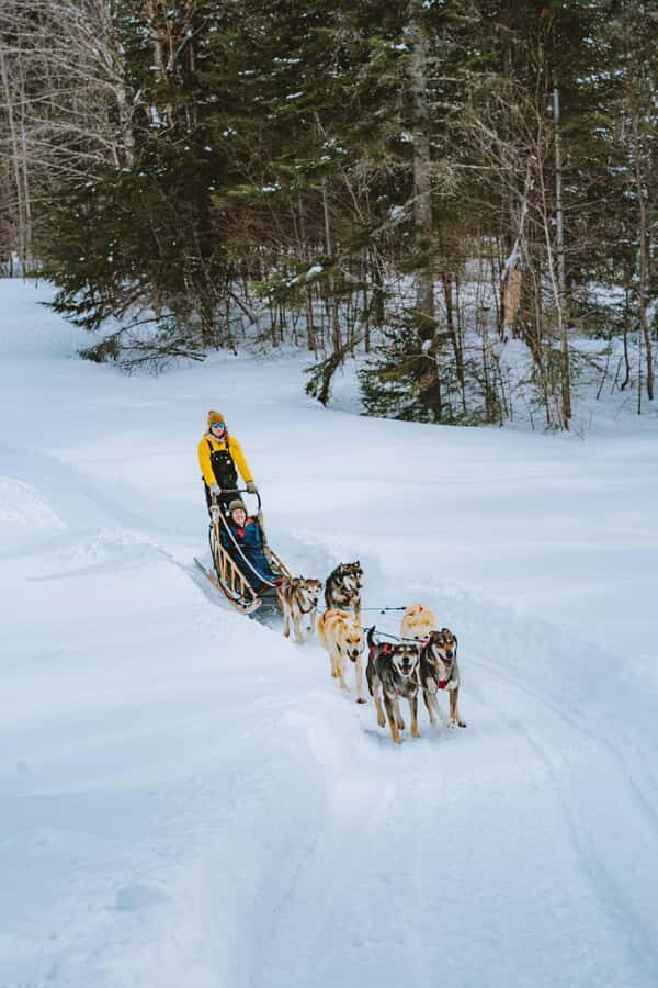 Dogsledding Upper Laurentians near Mont-Tremblant - After the Ride: Kennel Visit, Campfire Warm-Up, and Crazy Carpet Fun