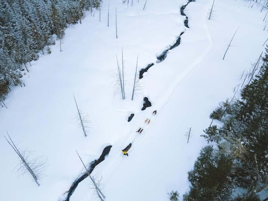 Dogsledding Upper Laurentians near Mont-Tremblant - Who This Dogsled Tour Fits Best (and Who Should Skip It)