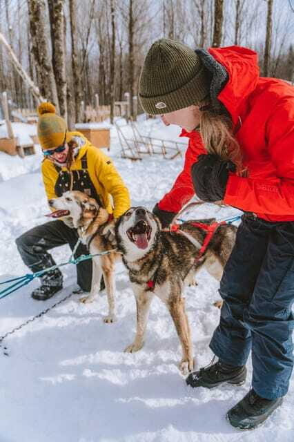 Dogsledding Upper Laurentians near Mont-Tremblant - Should You Book This Upper Laurentians Dogsledding Tour?
